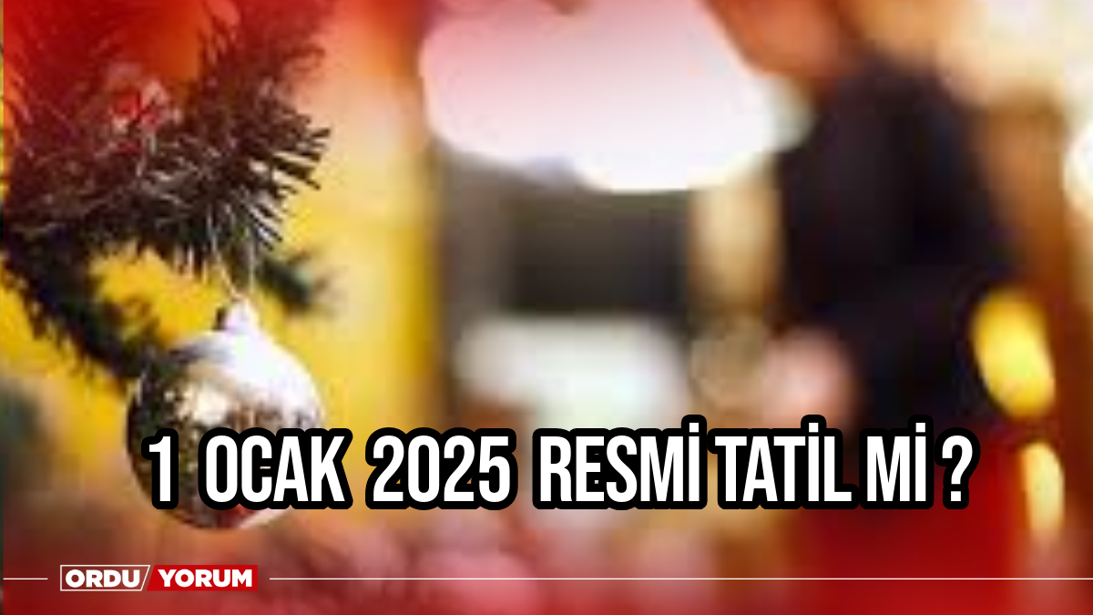 1-ocak-resmi-tatil-mi ile ilgili görsel 1