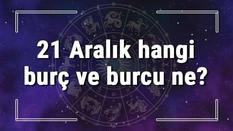 21-aralik-hangi-burc ile ilgili görsel 2