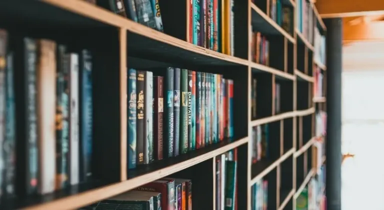 ali-yasar-koz ile ilgili görsel 1