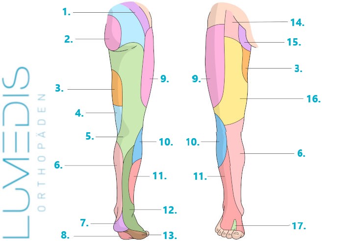 bein ile ilgili görsel 2
