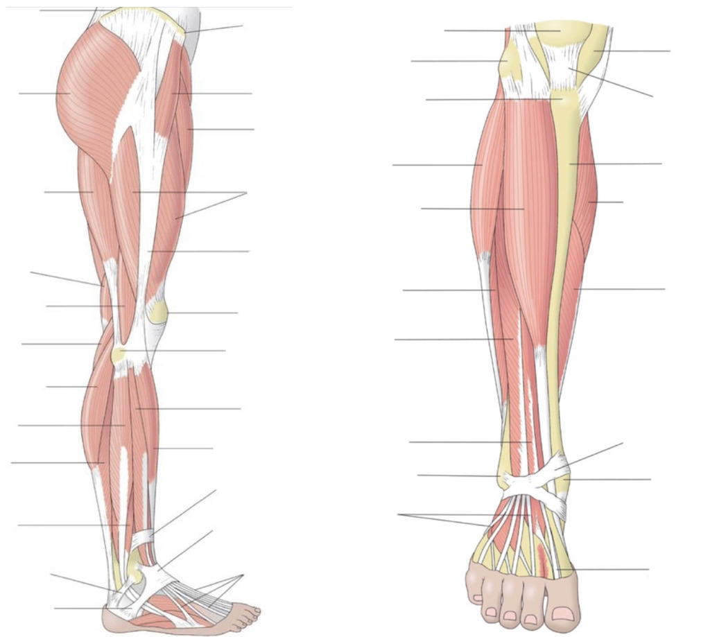 bein ile ilgili görsel 1