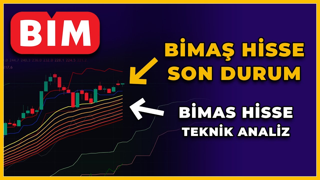 bim-hisse ile ilgili görsel 3