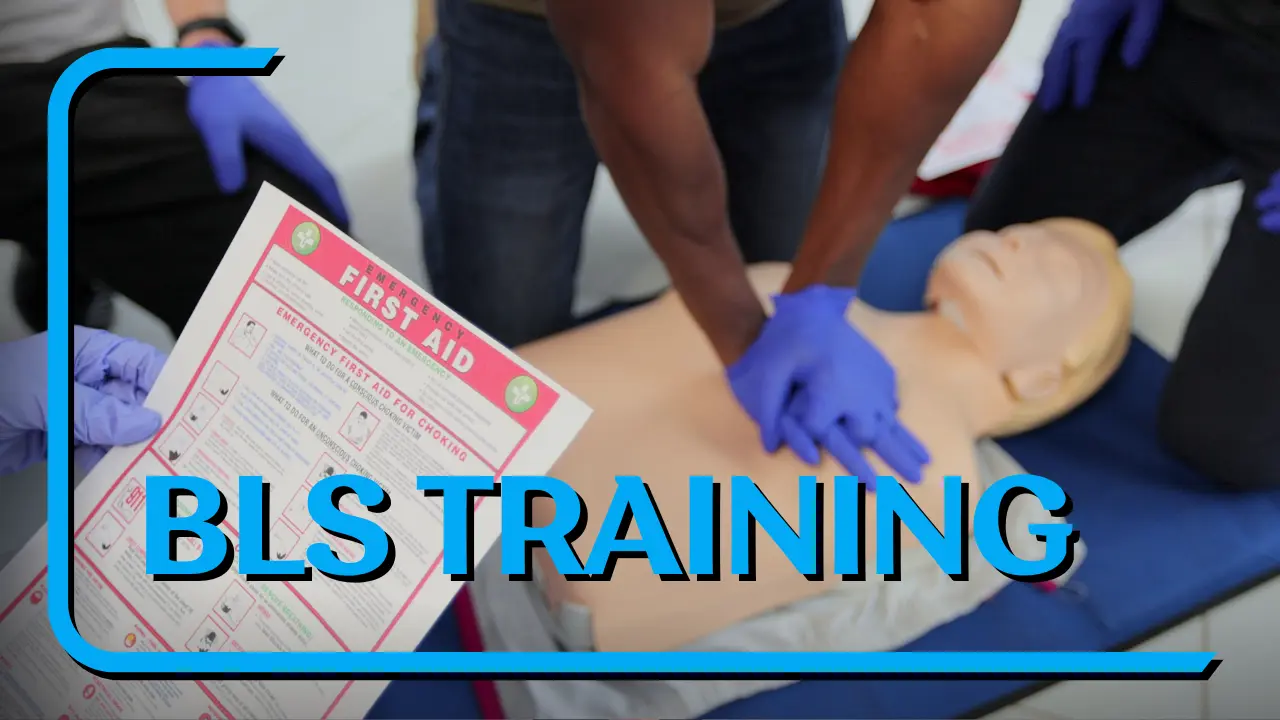 bls ile ilgili görsel 3