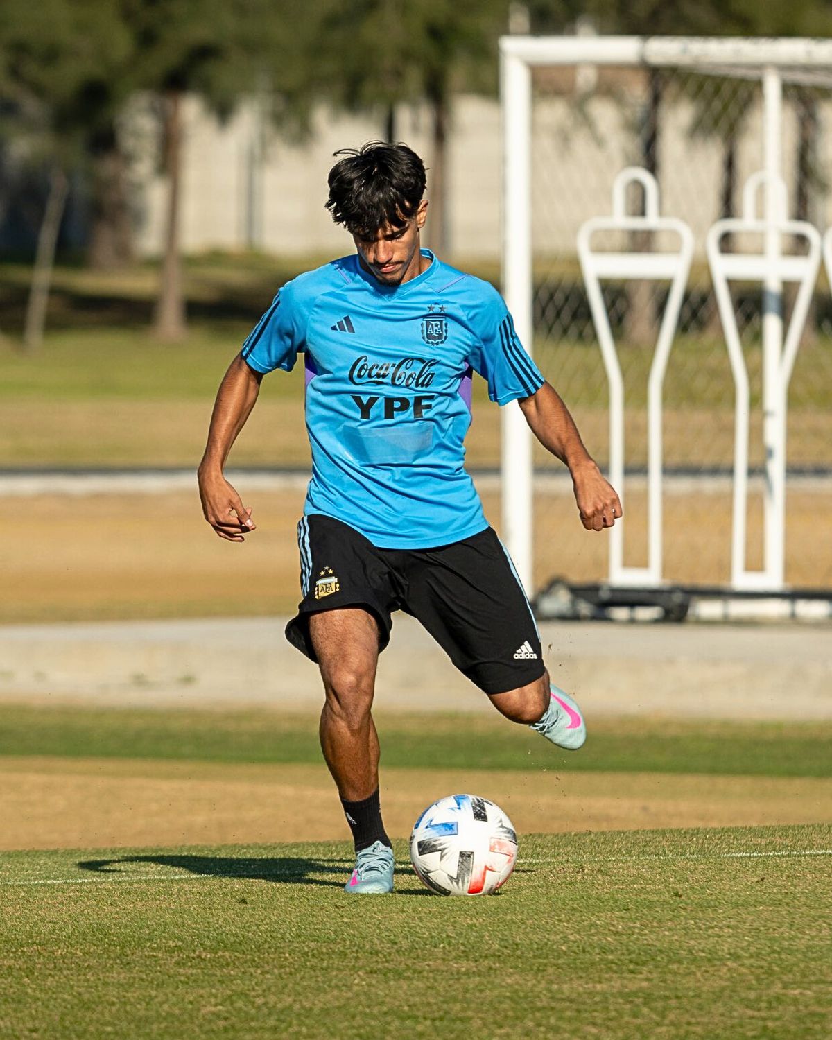 can-armando-guner ile ilgili görsel 3