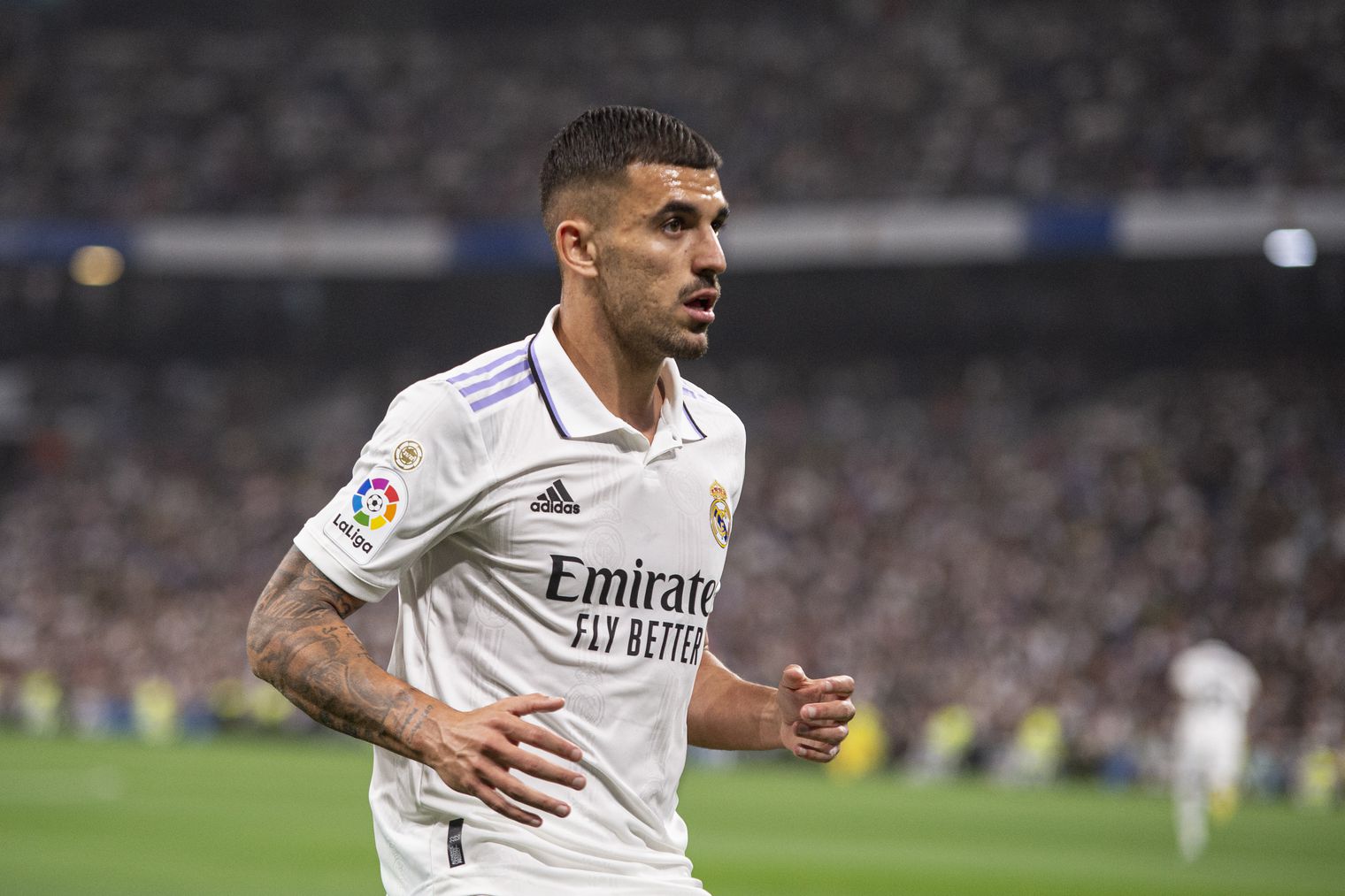 ceballos ile ilgili görsel 2