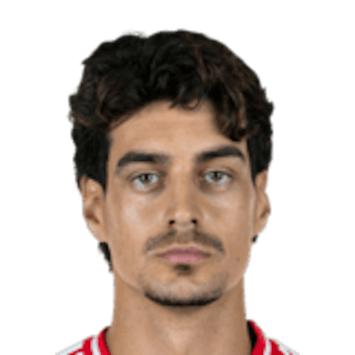 diogo-leite ile ilgili görsel 3