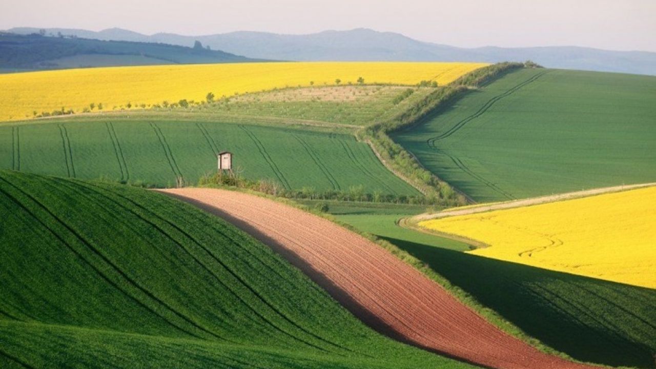 dsi-genel-mudurlugu ile ilgili görsel 1