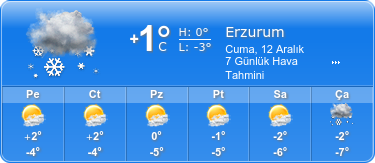 erzurum-hava-durumu ile ilgili görsel 2