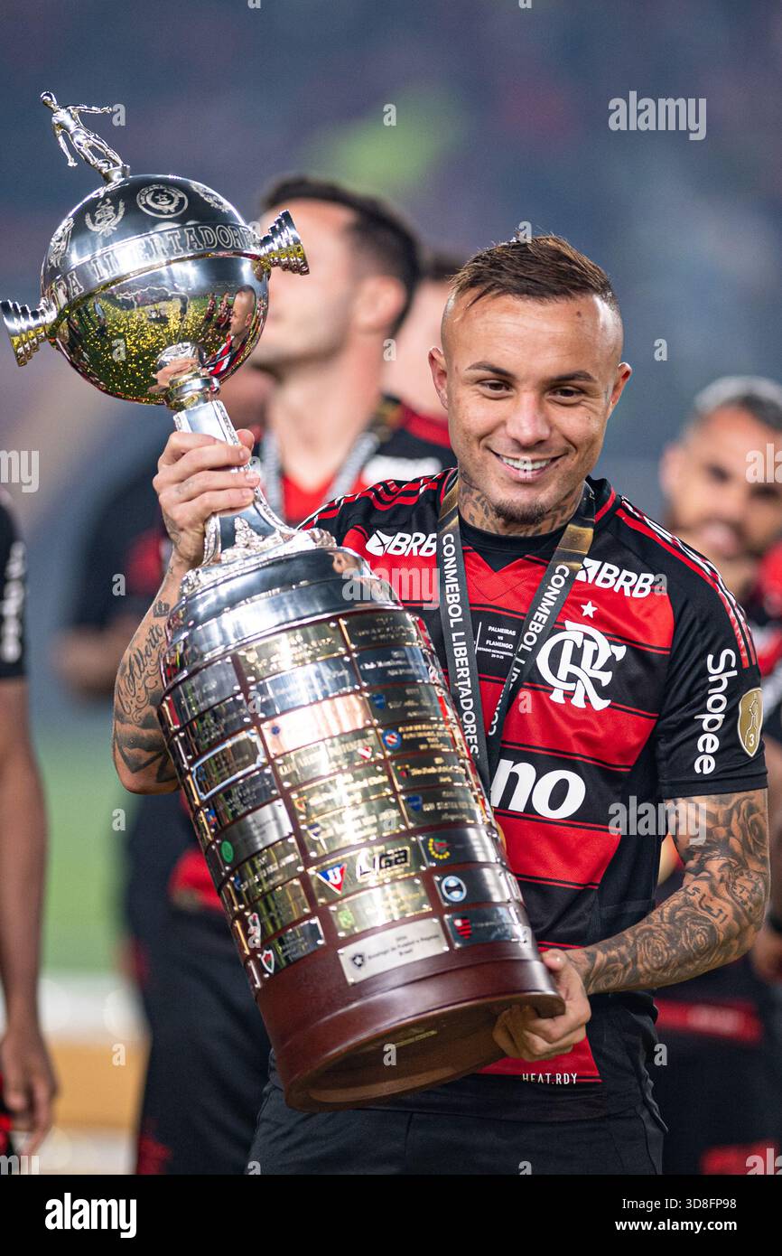 everton-cebolinha ile ilgili görsel 2