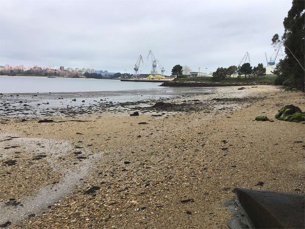 fene ile ilgili görsel 3