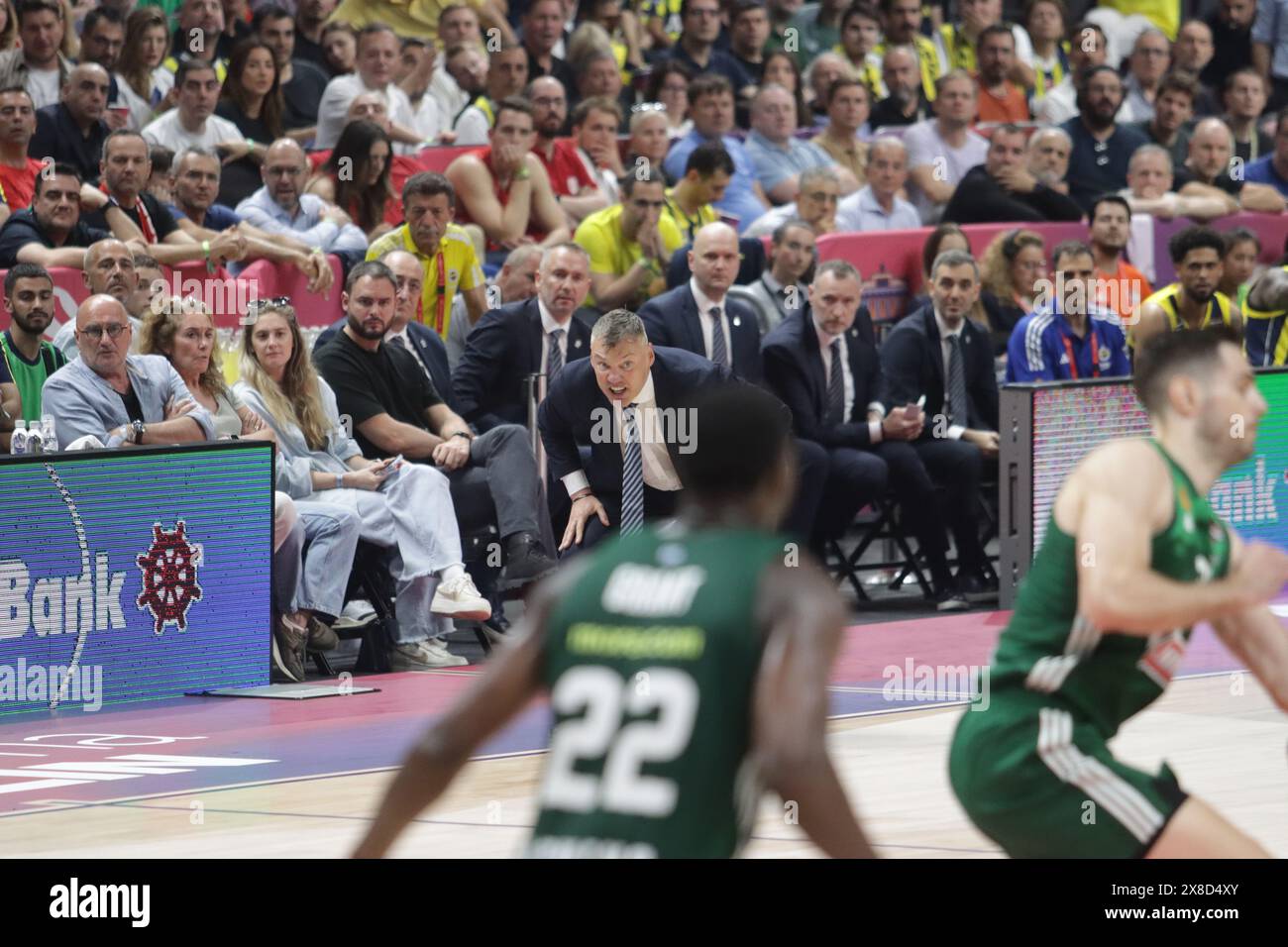fenerbahce-panathinaikos ile ilgili görsel 2