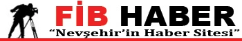 fib-haber ile ilgili görsel 2