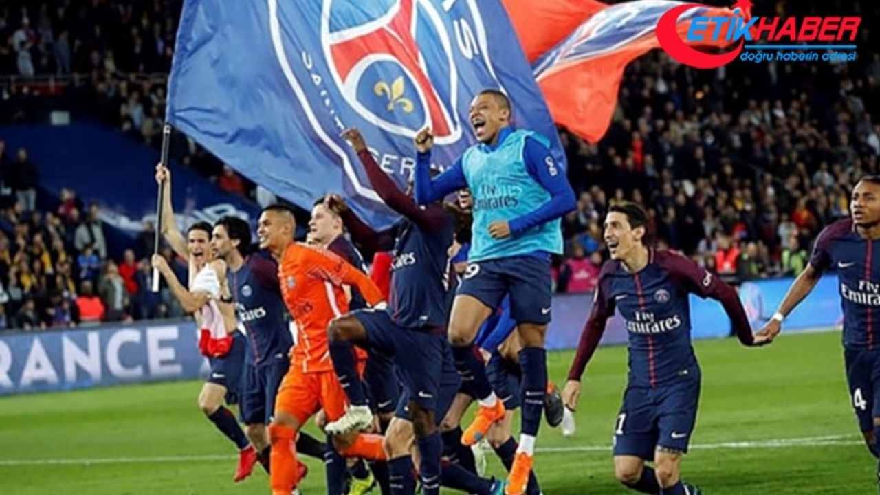 fransa-1-ligi ile ilgili görsel 2