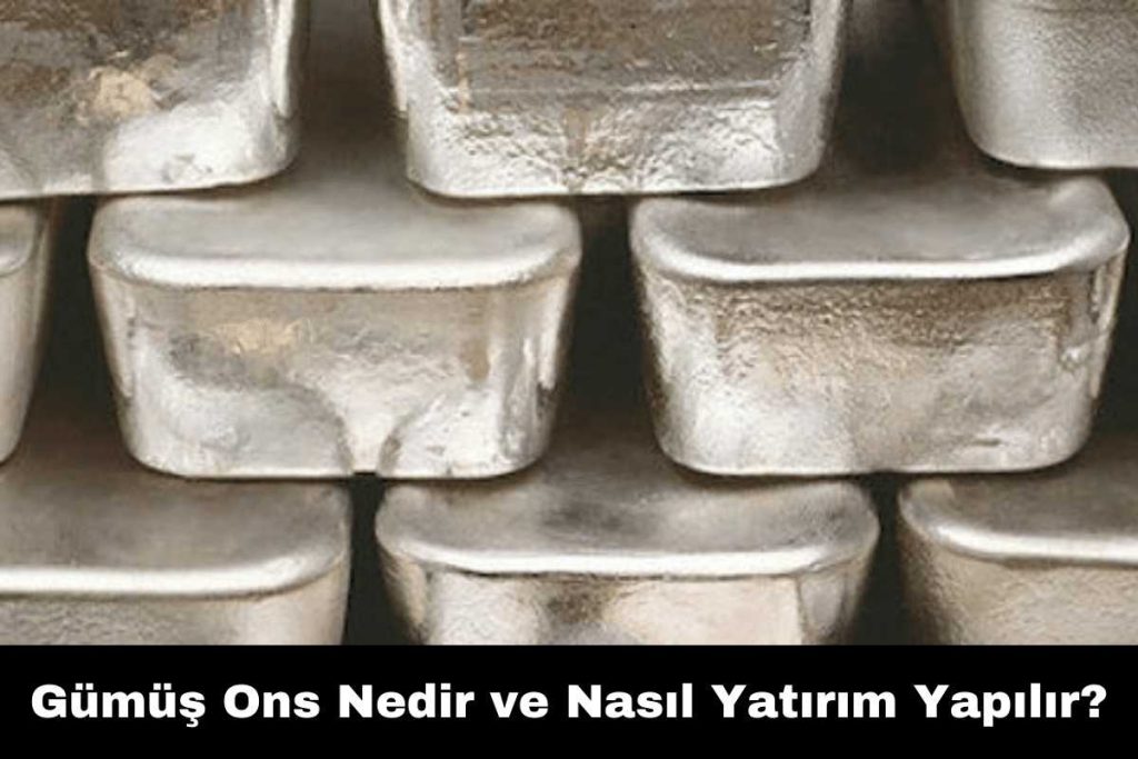 gumus-ons ile ilgili görsel 1