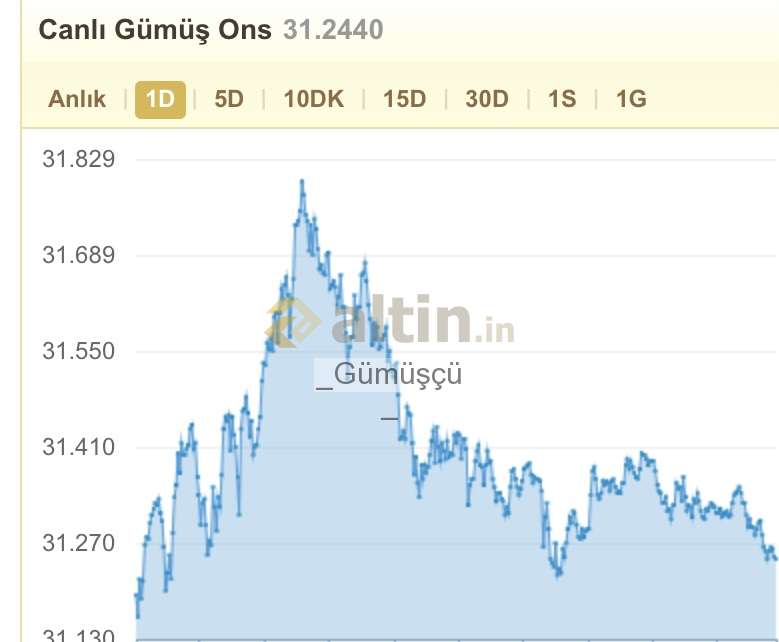 gumus-ons ile ilgili görsel 3