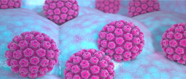 hpv-asisi ile ilgili görsel 3
