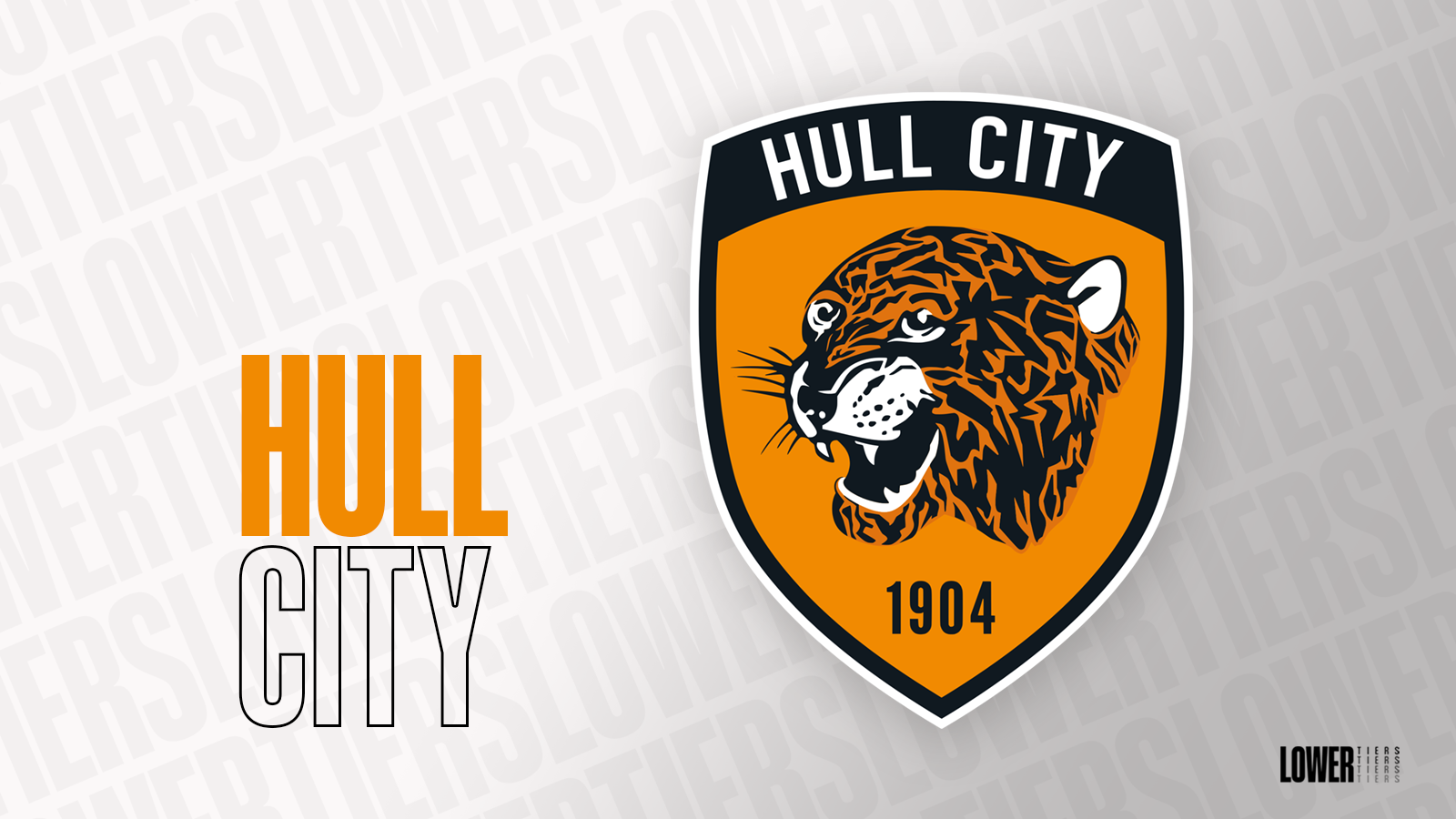 hull-city ile ilgili görsel 1