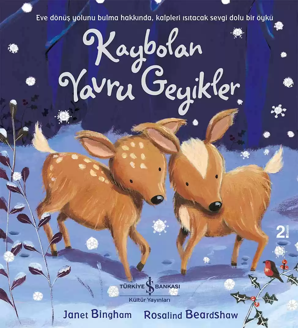 kaybolan ile ilgili görsel 3