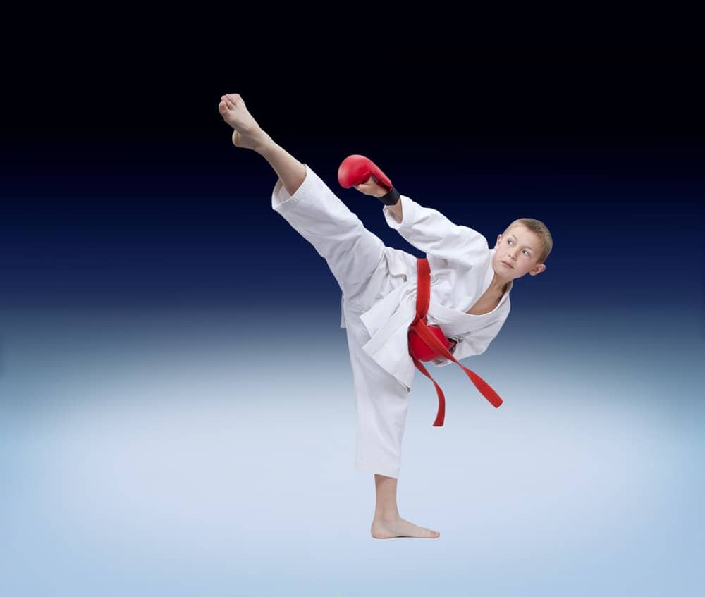 kick ile ilgili görsel 2