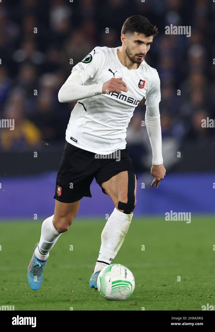 martin-terrier ile ilgili görsel 2