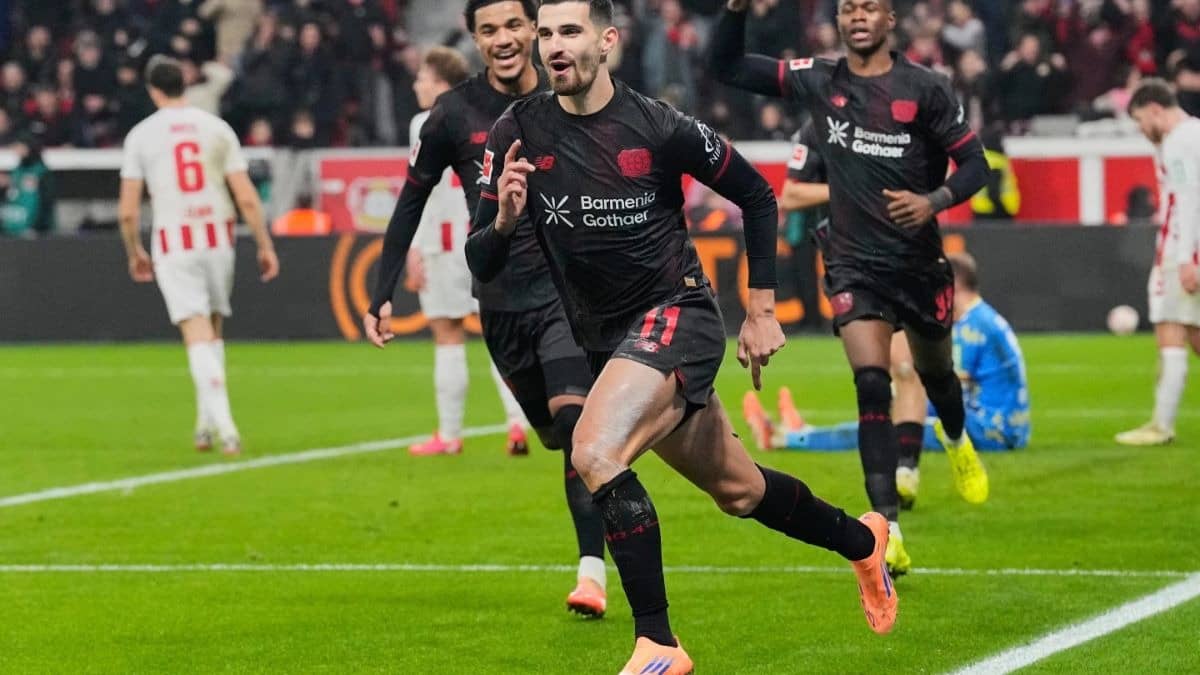 martin-terrier ile ilgili görsel 1