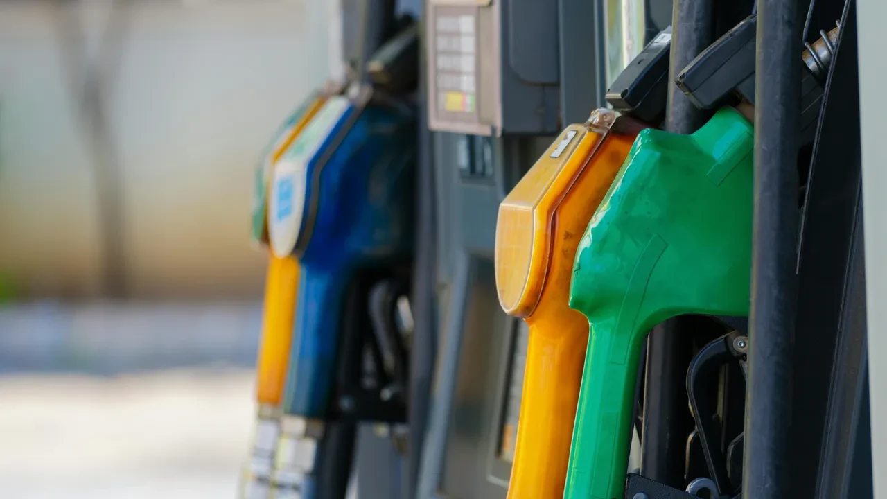 mazota-zam-ne-zaman ile ilgili görsel 3