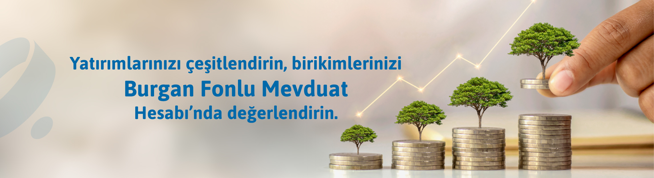 mevduat ile ilgili görsel 3