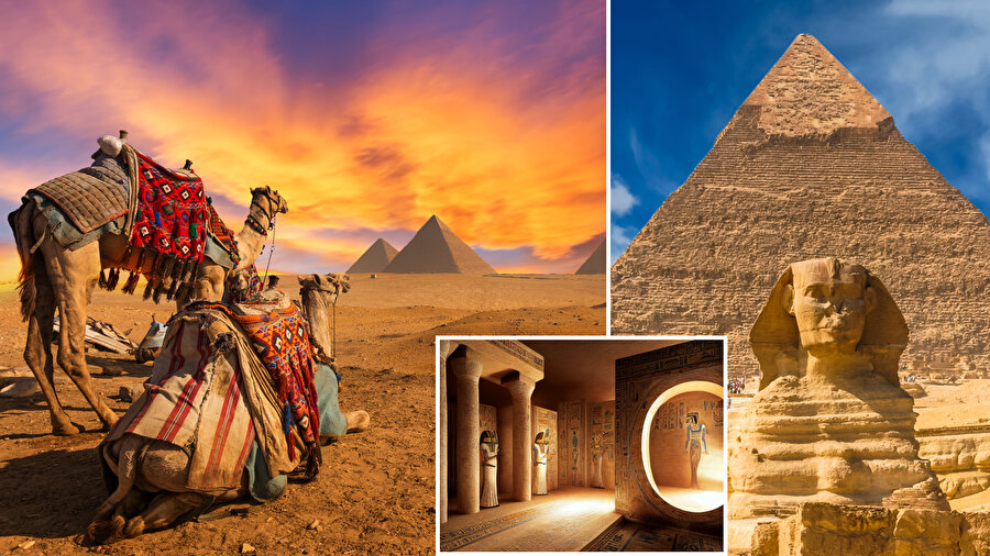 misir ile ilgili görsel 3