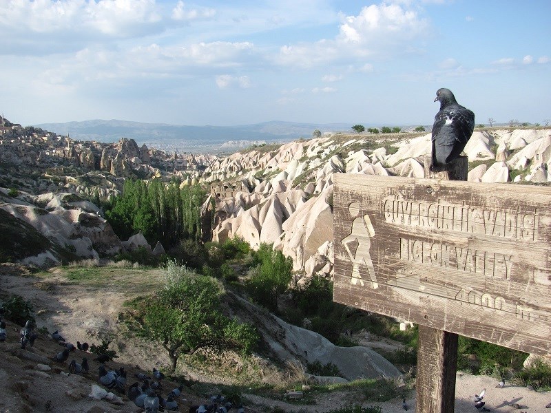 nevsehir-valiligi ile ilgili görsel 2