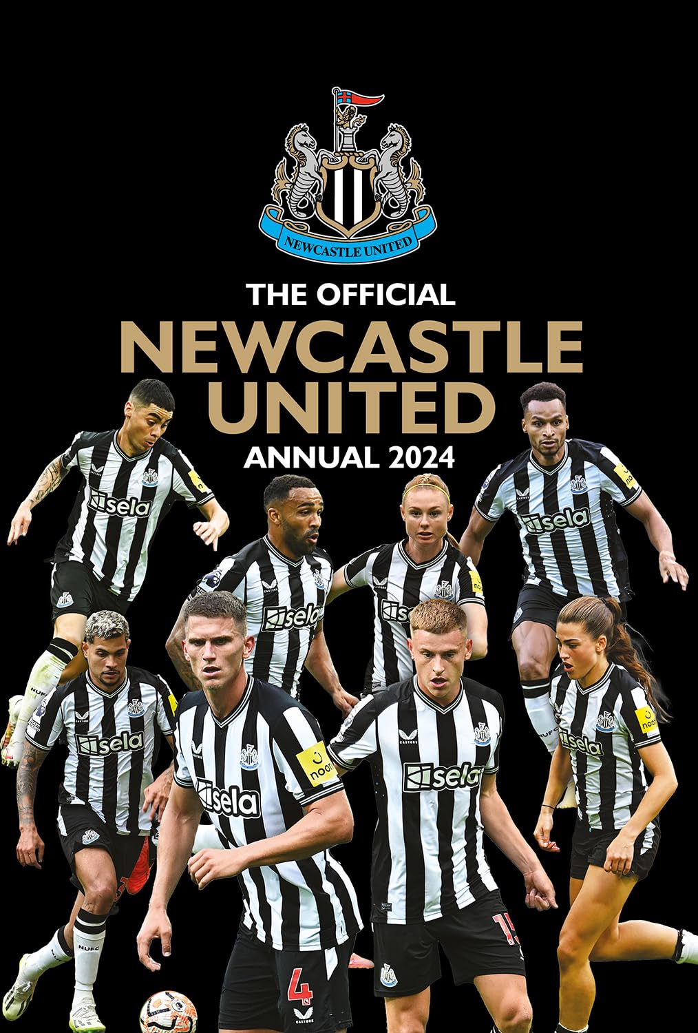 newcastle-united-fc ile ilgili görsel 1