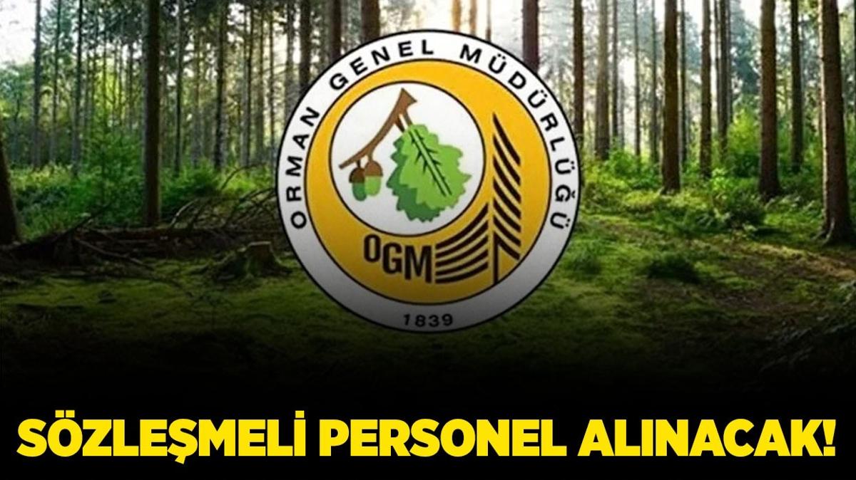 orman-sozlesmeli-personel-alimi ile ilgili görsel 2