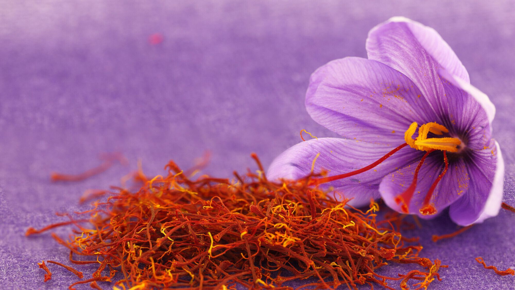 safran ile ilgili görsel 3