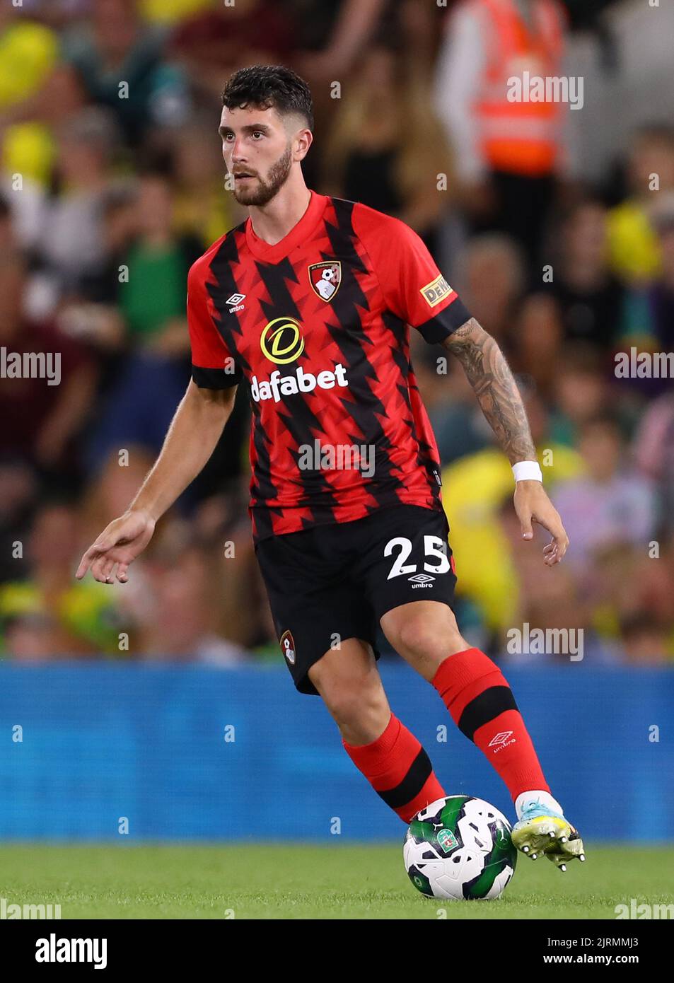 senesi ile ilgili görsel 3