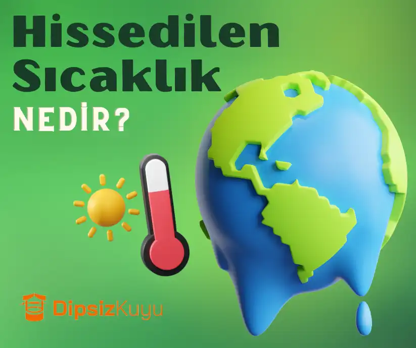 sicaklik ile ilgili görsel 3