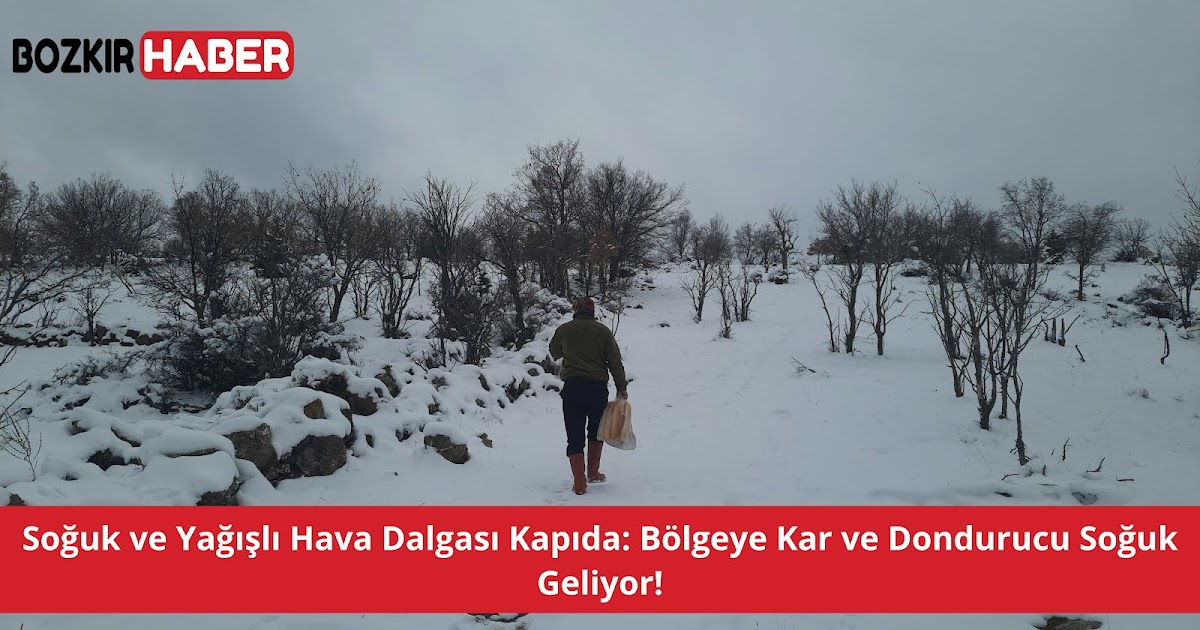 soguk-hava-dalgasi ile ilgili görsel 3