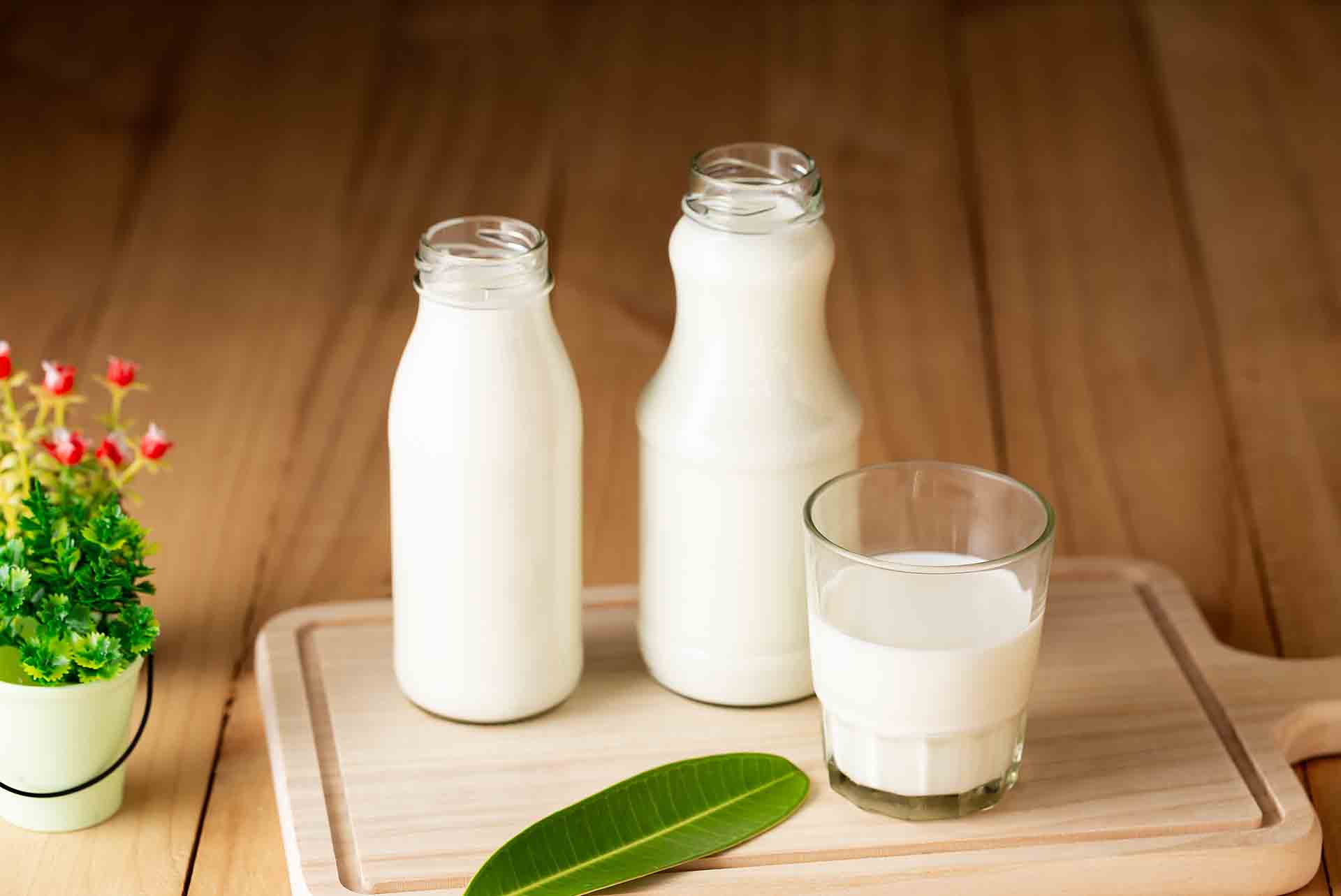 sut ile ilgili görsel 2