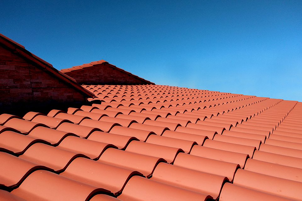 tejas ile ilgili görsel 2