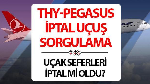 thy-ucak-seferleri-iptal ile ilgili görsel 2
