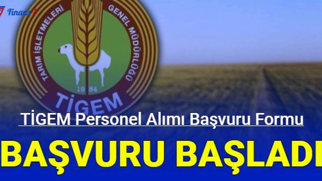 tigem-personel-alimi ile ilgili görsel 1