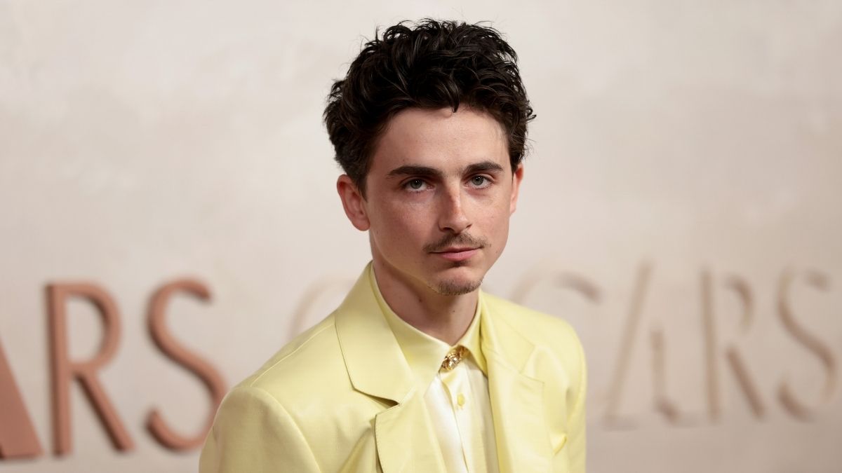 timothe-chalamet ile ilgili görsel 3