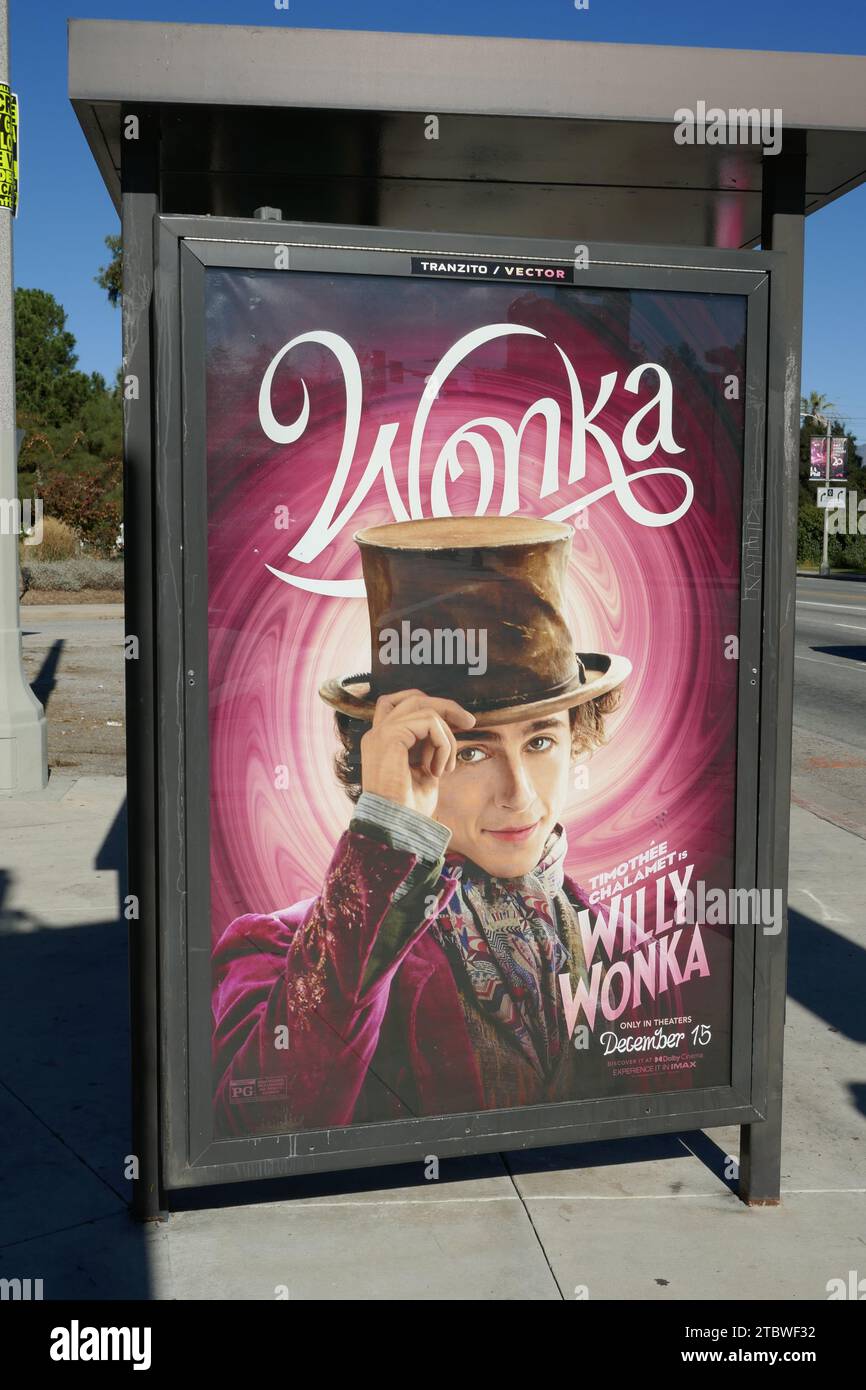 timothe-chalamet ile ilgili görsel 2