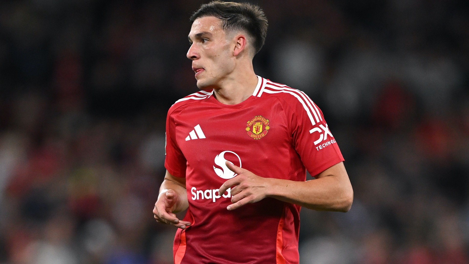 ugarte ile ilgili görsel 3