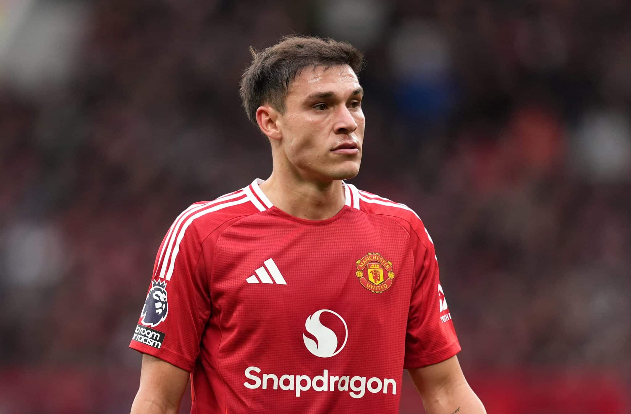 ugarte ile ilgili görsel 1