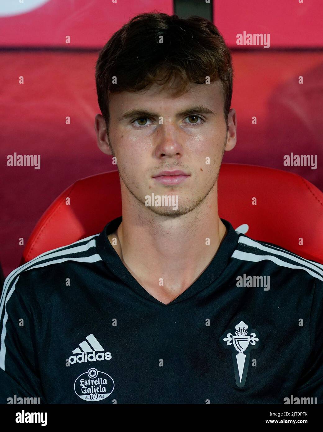 williot-swedberg ile ilgili görsel 3