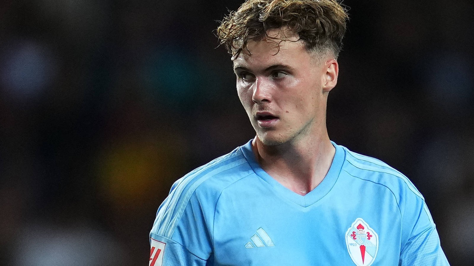 williot-swedberg ile ilgili görsel 2