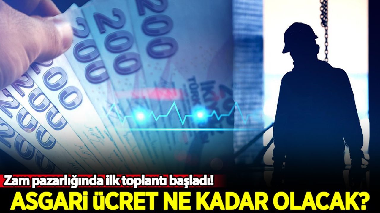 yeni-asgari-ucret ile ilgili görsel 1