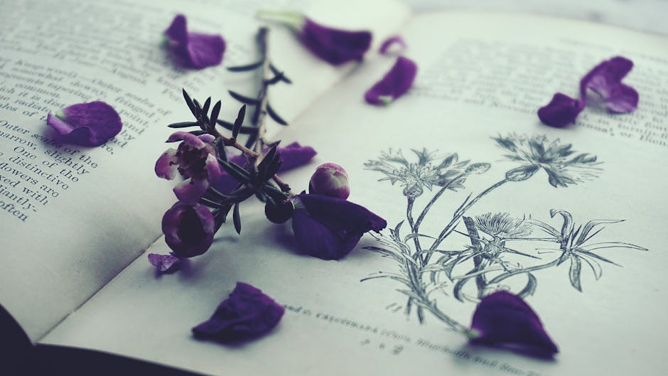 literary themes