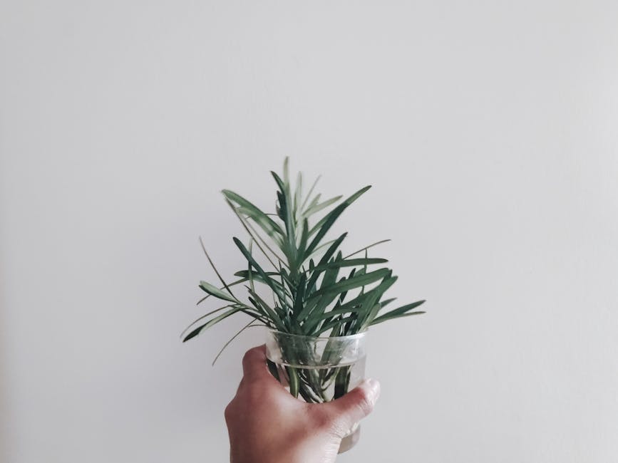 personal growth