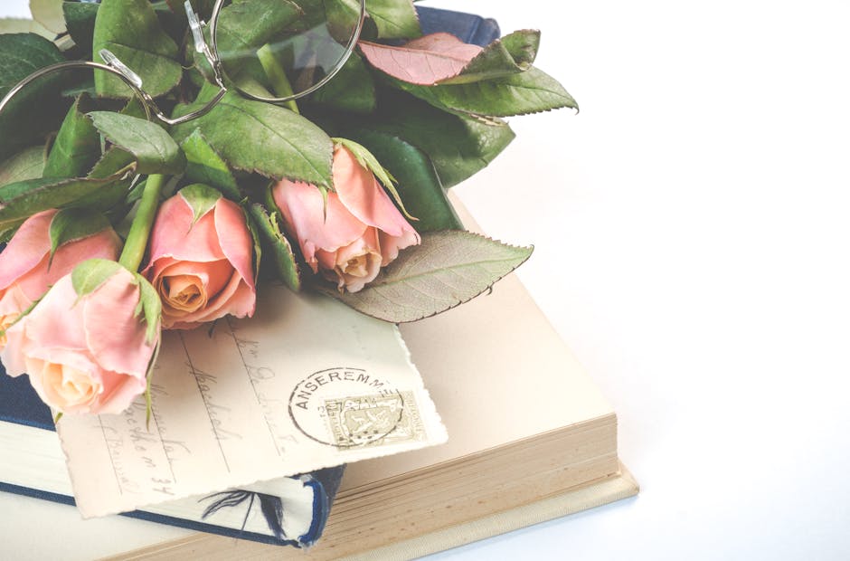 reading journey