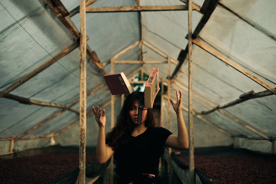 transformative storytelling